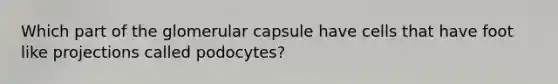 Which part of the glomerular capsule have cells that have foot like projections called podocytes?