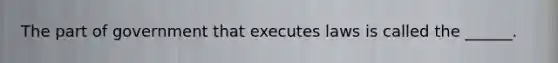 The part of government that executes laws is called the ______.