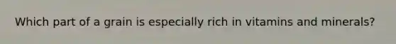 Which part of a grain is especially rich in vitamins and minerals?