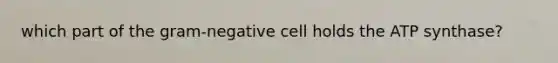 which part of the gram-negative cell holds the ATP synthase?