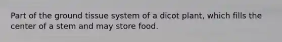 Part of the ground tissue system of a dicot plant, which fills the center of a stem and may store food.