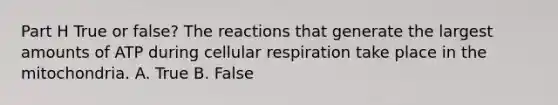 Part H True or false? The reactions that generate the largest amounts of ATP during <a href='https://www.questionai.com/knowledge/k1IqNYBAJw-cellular-respiration' class='anchor-knowledge'>cellular respiration</a> take place in the mitochondria. A. True B. False