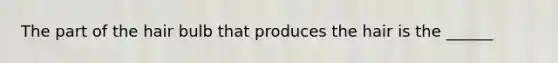 The part of the hair bulb that produces the hair is the ______