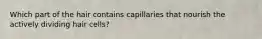 Which part of the hair contains capillaries that nourish the actively dividing hair cells?