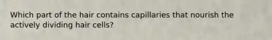 Which part of the hair contains capillaries that nourish the actively dividing hair cells?