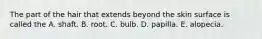 The part of the hair that extends beyond the skin surface is called the A. shaft. B. root. C. bulb. D. papilla. E. alopecia.