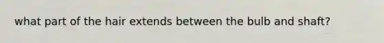 what part of the hair extends between the bulb and shaft?