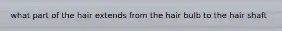 what part of the hair extends from the hair bulb to the hair shaft