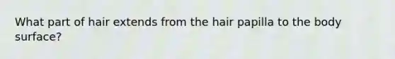 What part of hair extends from the hair papilla to the body surface?