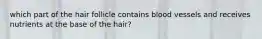 which part of the hair follicle contains blood vessels and receives nutrients at the base of the hair?