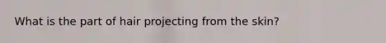 What is the part of hair projecting from the skin?