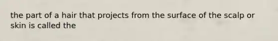 the part of a hair that projects from the surface of the scalp or skin is called the