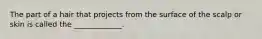 The part of a hair that projects from the surface of the scalp or skin is called the _____________.