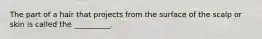 The part of a hair that projects from the surface of the scalp or skin is called the __________.