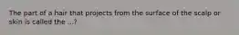 The part of a hair that projects from the surface of the scalp or skin is called the ...?