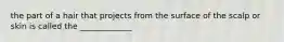 the part of a hair that projects from the surface of the scalp or skin is called the _____________