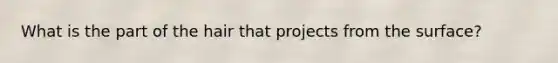 What is the part of the hair that projects from the surface?