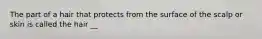 The part of a hair that protects from the surface of the scalp or skin is called the hair __