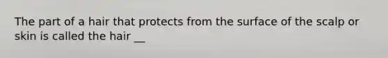 The part of a hair that protects from the surface of the scalp or skin is called the hair __