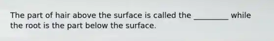 The part of hair above the surface is called the _________ while the root is the part below the surface.