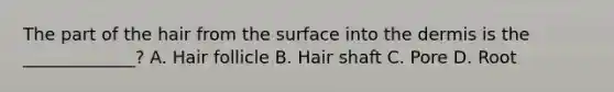 The part of the hair from the surface into the dermis is the _____________? A. Hair follicle B. Hair shaft C. Pore D. Root