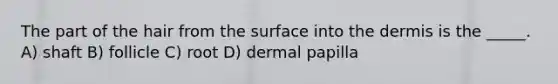 The part of the hair from the surface into <a href='https://www.questionai.com/knowledge/kEsXbG6AwS-the-dermis' class='anchor-knowledge'>the dermis</a> is the _____. A) shaft B) follicle C) root D) dermal papilla