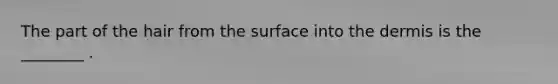 The part of the hair from the surface into the dermis is the ________ .