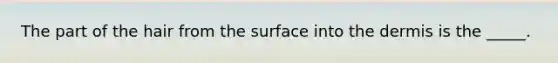 The part of the hair from the surface into the dermis is the _____.