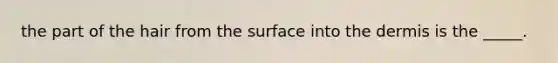 the part of the hair from the surface into the dermis is the _____.