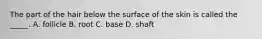 The part of the hair below the surface of the skin is called the _____. A. follicle B. root C. base D. shaft