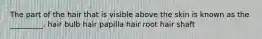 The part of the hair that is visible above the skin is known as the _________. hair bulb hair papilla hair root hair shaft