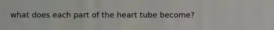 what does each part of the heart tube become?