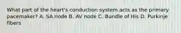 What part of the heart's conduction system acts as the primary pacemaker? A. SA node B. AV node C. Bundle of His D. Purkinje fibers