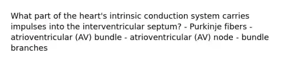 What part of the heart's intrinsic conduction system carries impulses into the interventricular septum? - Purkinje fibers - atrioventricular (AV) bundle - atrioventricular (AV) node - bundle branches