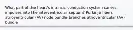 What part of the heart's intrinsic conduction system carries impulses into the interventricular septum? Purkinje fibers atrioventricular (AV) node bundle branches atrioventricular (AV) bundle