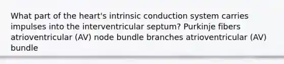 What part of the heart's intrinsic conduction system carries impulses into the interventricular septum? Purkinje fibers atrioventricular (AV) node bundle branches atrioventricular (AV) bundle