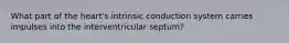 What part of the heart's intrinsic conduction system carries impulses into the interventricular septum?