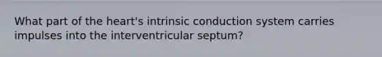 What part of the heart's intrinsic conduction system carries impulses into the interventricular septum?