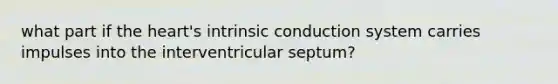 what part if the heart's intrinsic conduction system carries impulses into the interventricular septum?