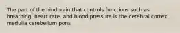 The part of the hindbrain that controls functions such as breathing, heart rate, and blood pressure is the cerebral cortex. medulla cerebellum pons