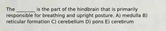 The ________ is the part of the hindbrain that is primarily responsible for breathing and upright posture. A) medulla B) reticular formation C) cerebellum D) pons E) cerebrum