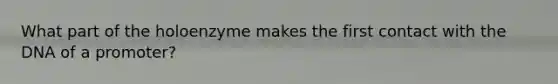 What part of the holoenzyme makes the first contact with the DNA of a promoter?