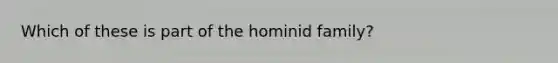 Which of these is part of the hominid family?