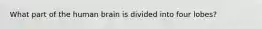 What part of the human brain is divided into four lobes?