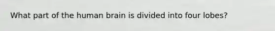 What part of the human brain is divided into four lobes?