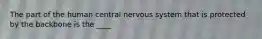 The part of the human central nervous system that is protected by the backbone is the ____