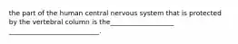 the part of the human central nervous system that is protected by the vertebral column is the___________________ ___________________________.