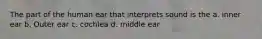 The part of the human ear that interprets sound is the a. inner ear b. Outer ear c. cochlea d. middle ear