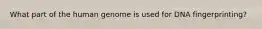 What part of the human genome is used for DNA fingerprinting?