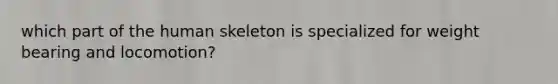 which part of the human skeleton is specialized for weight bearing and locomotion?